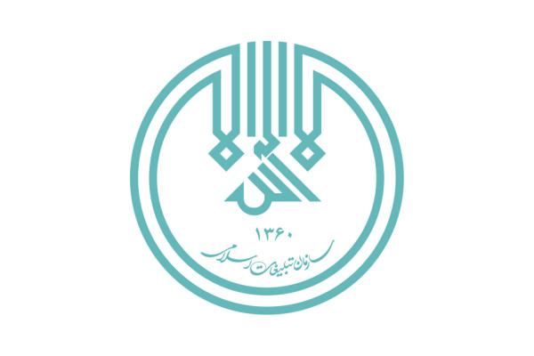 הארגון האסלאמי להטפה: מהמהפכה ועד לשלב השני