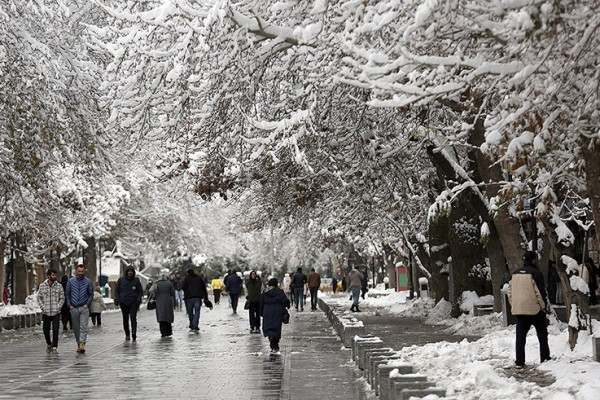 بارش برف در دیار الوند استوار